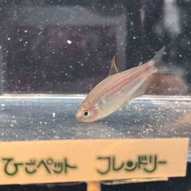 ̑i^E^j