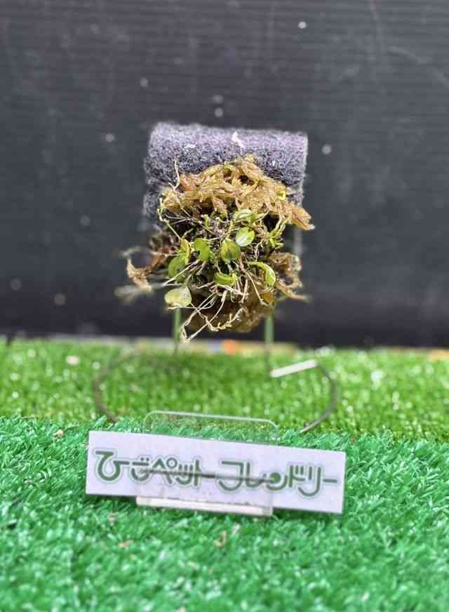 ϗtA