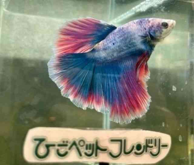V[x^