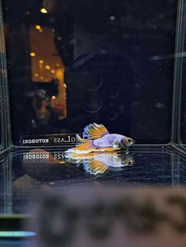̑ix^j