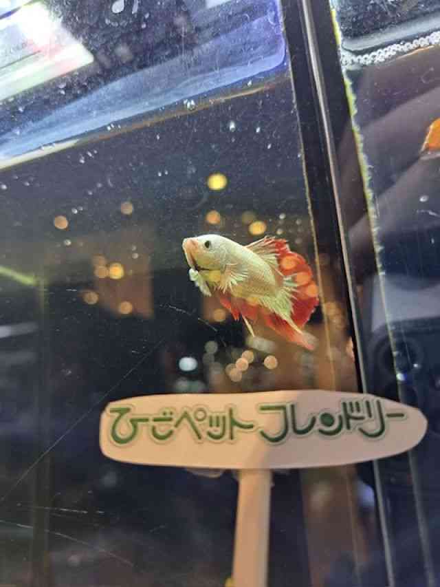 ̑ix^j