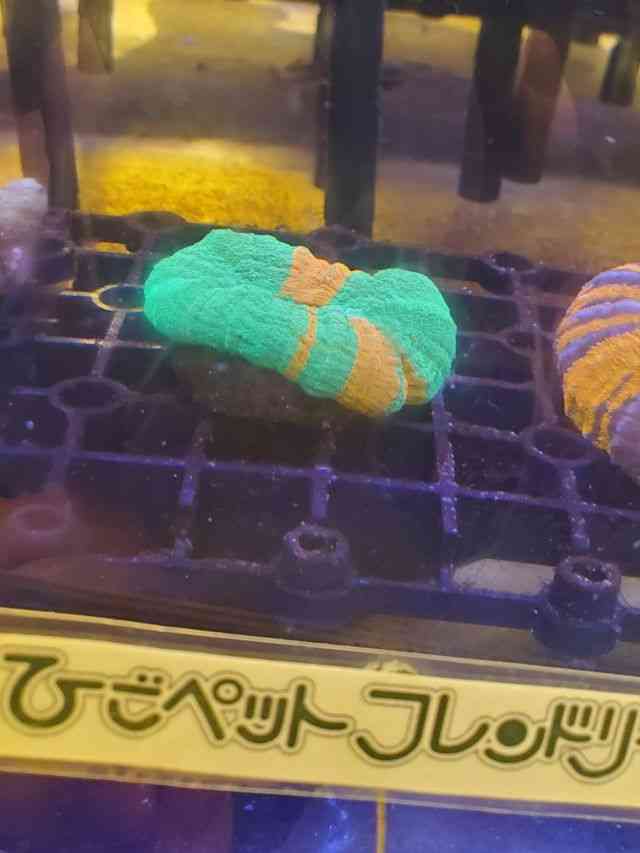 n[hR[