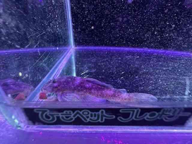 ̑iE^j