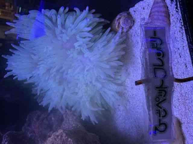 VCgC\M`N