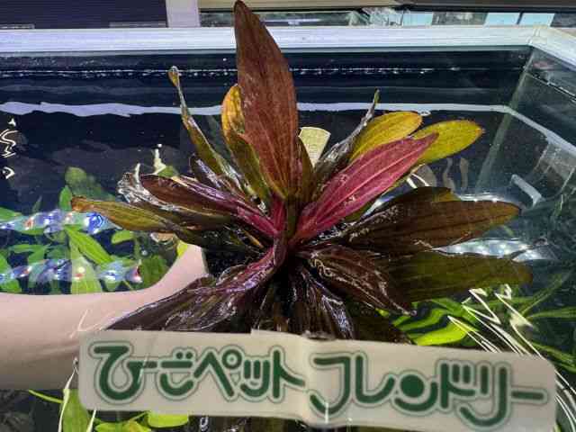 ̑iGLmhXj