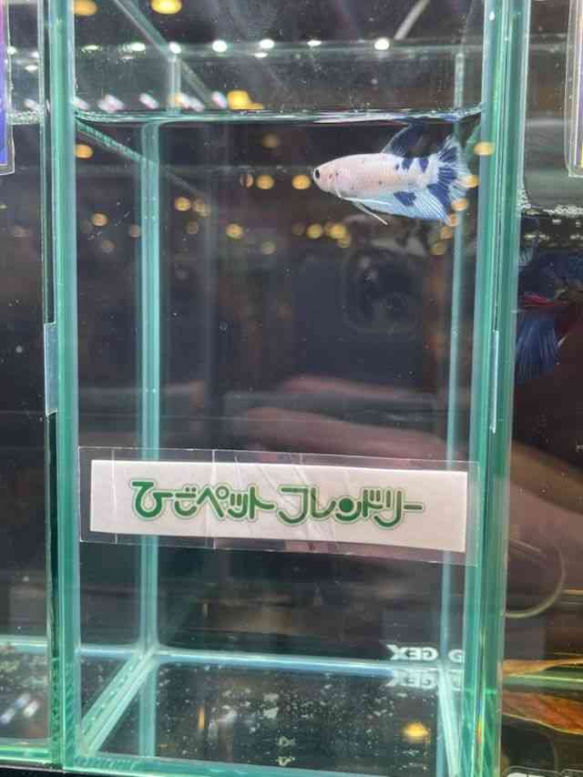 ̑ix^j