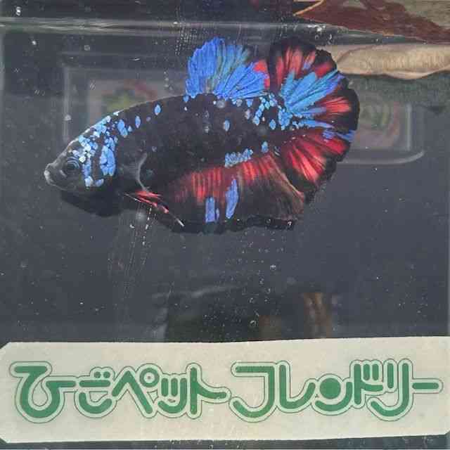 ̑ix^j