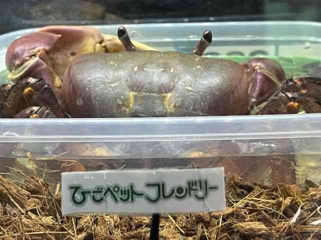 ̑iMьnbkށj