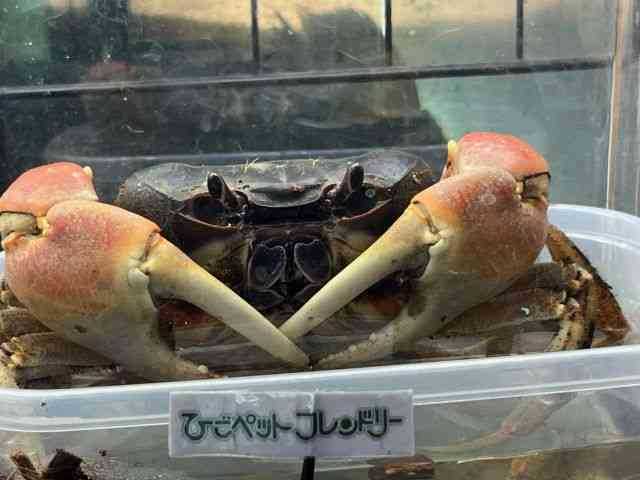 ̑iMьnbkށj