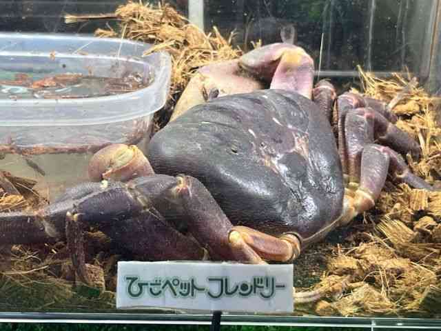̑iMьnbkށj