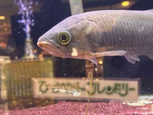 ̑iAij