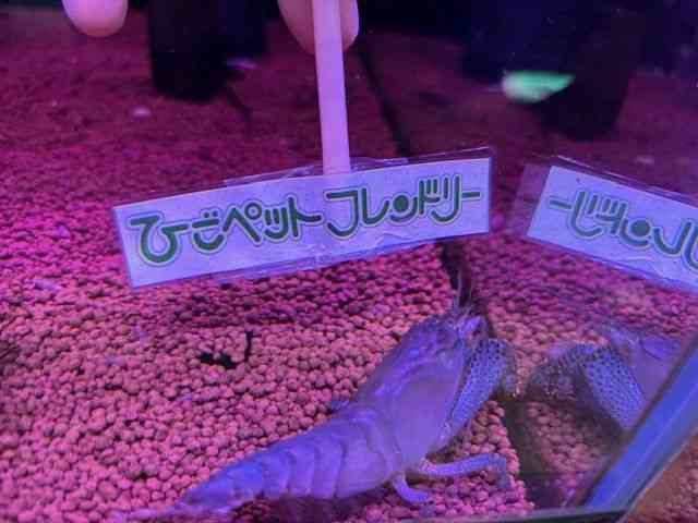 ̑iMьnbkށj