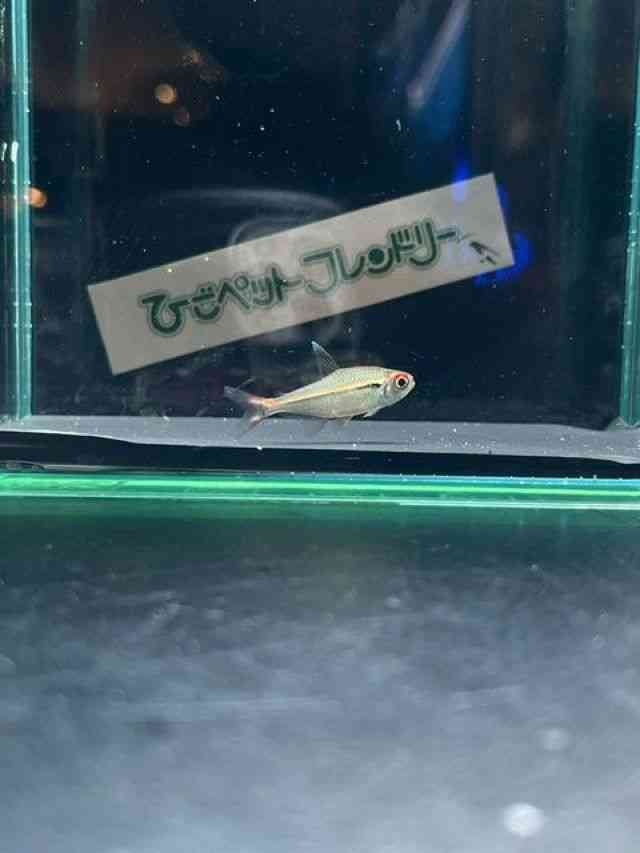 ̑i^E^j
