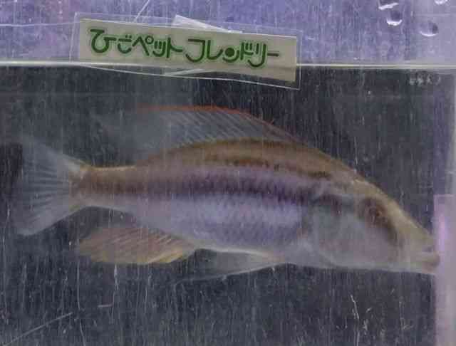 ̑iVNbhj