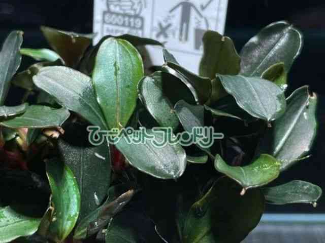 ̑iuZt@hj