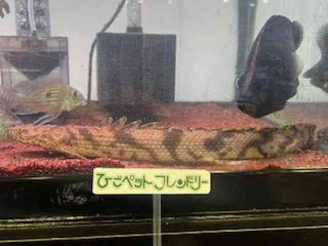 GhP[EGhP[