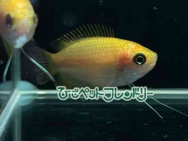 h[tO~[