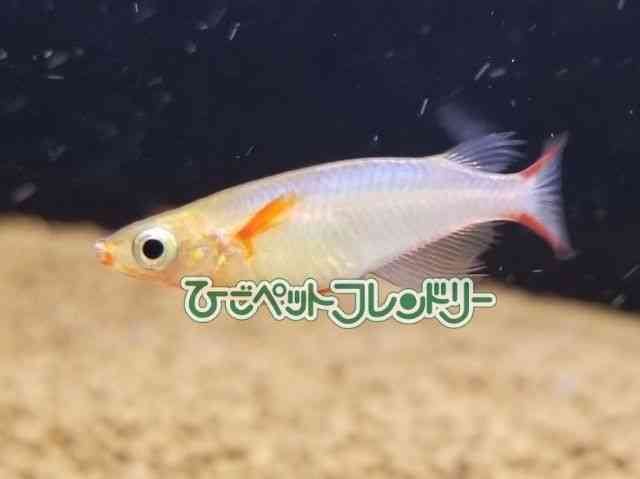 ̑iMу_Jj