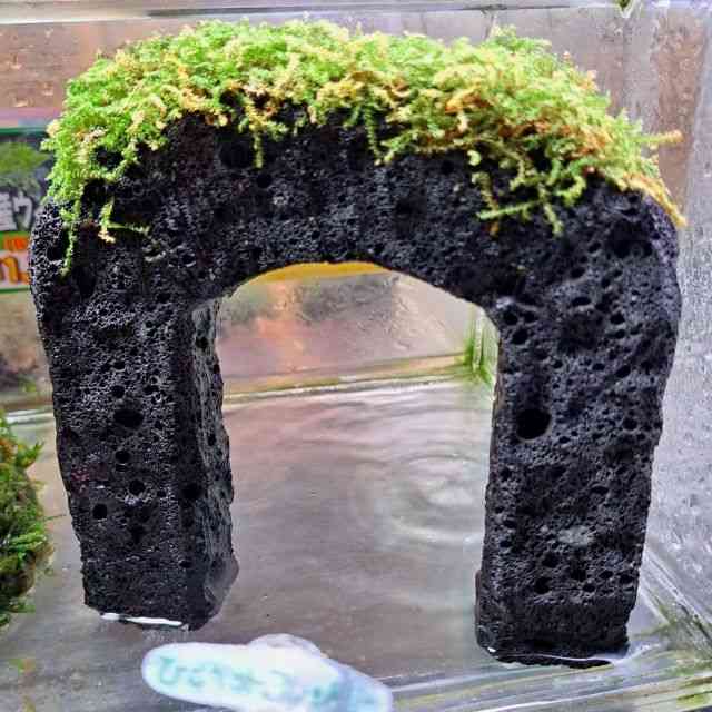 ăEB[X