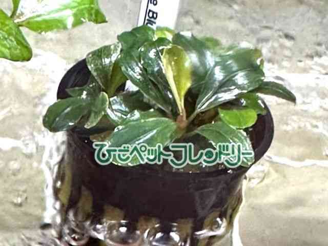̑iuZt@hj