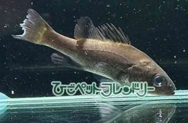 ̑iVNbhj