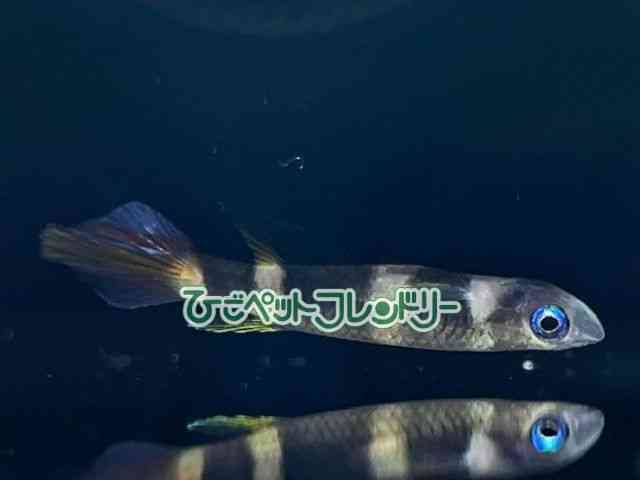 ̑iMу_Jj