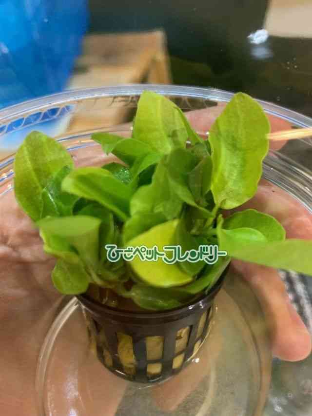̑iAkrAXj