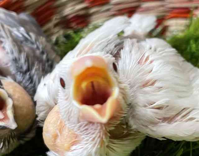 u`E