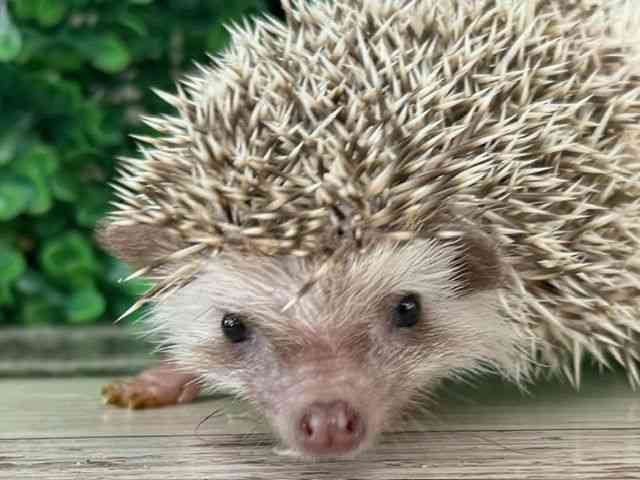 nlY~^sO~[wbWzbO
