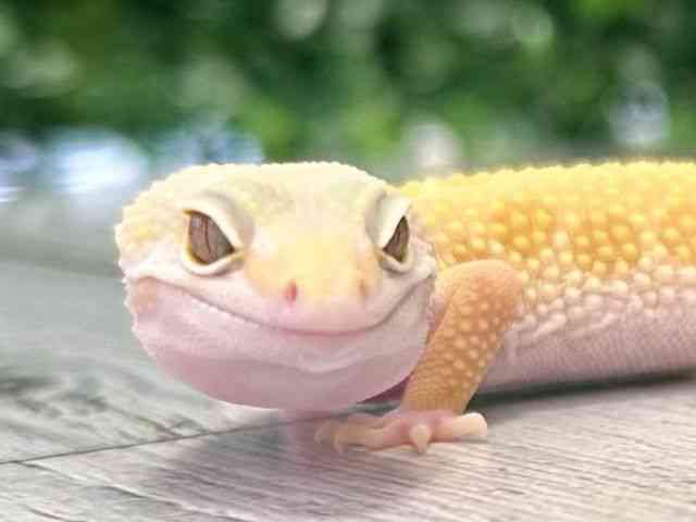 qEgJQhL