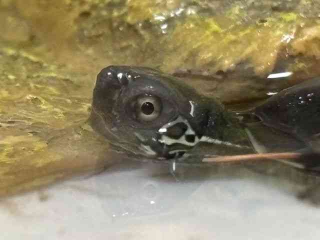 [jK