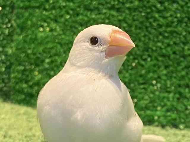 u`E