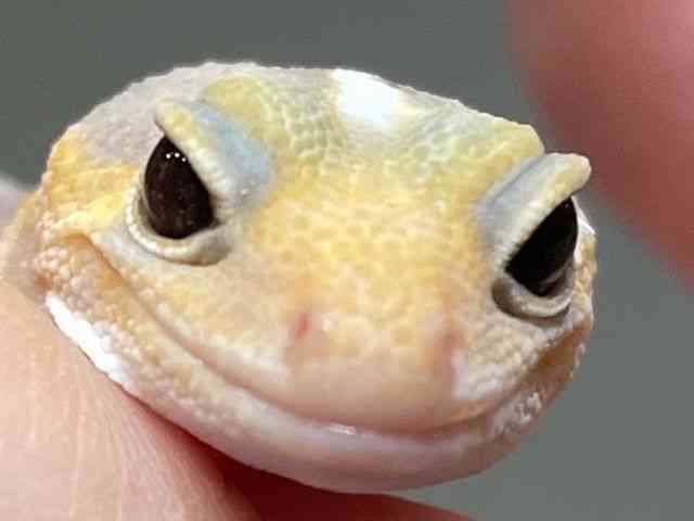 jVAtJgJQhL