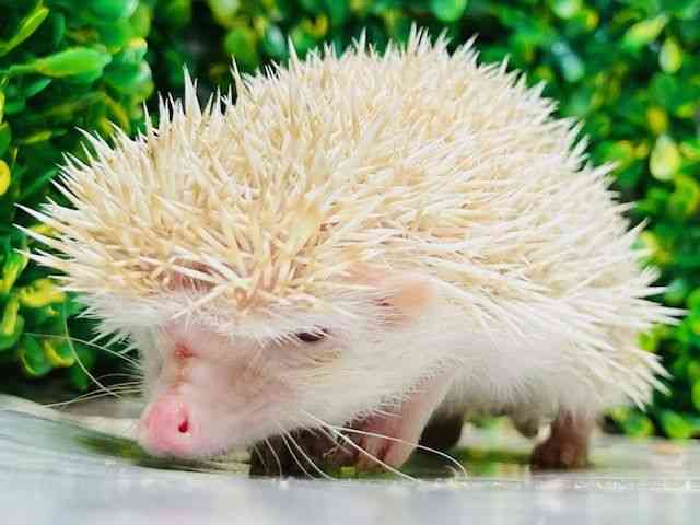 nlY~^sO~[wbWzbO