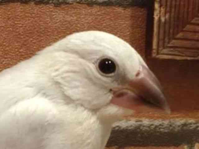 u`E