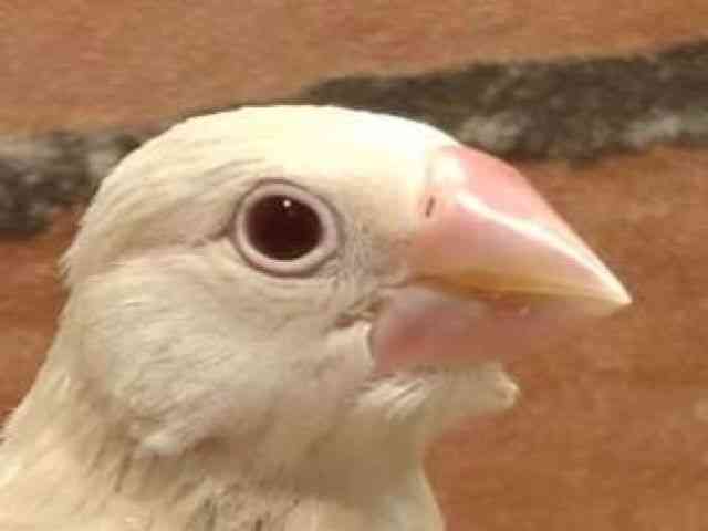 u`E