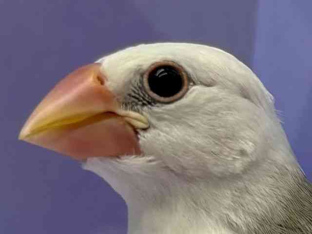 u`E