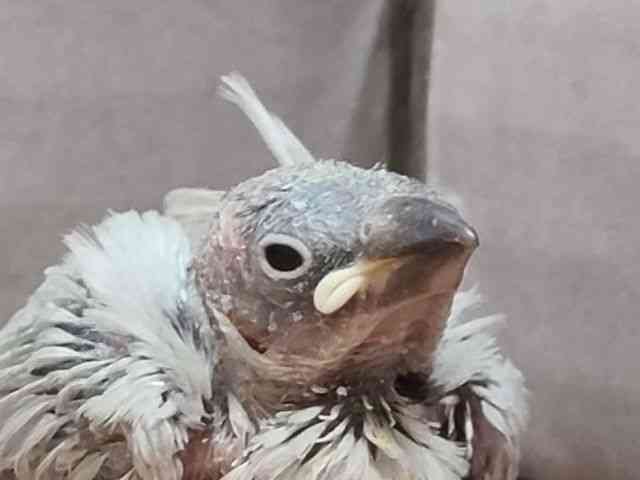u`E