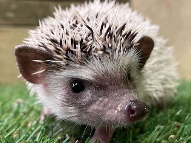 nlY~^sO~[wbWzbO