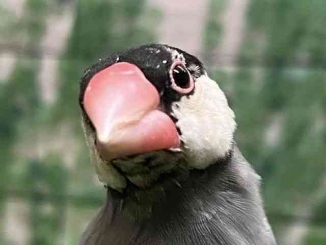 u`E