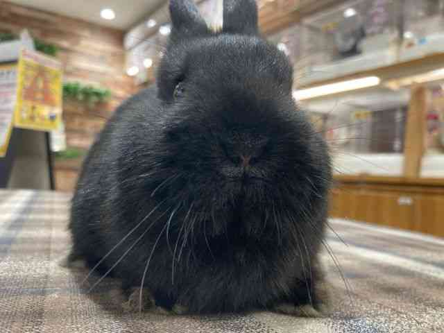 ̑iETMnj
