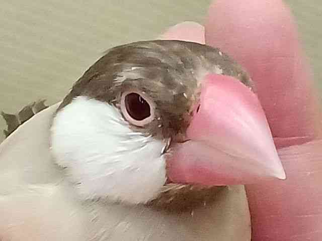 u`E