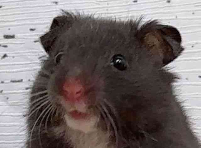 J[