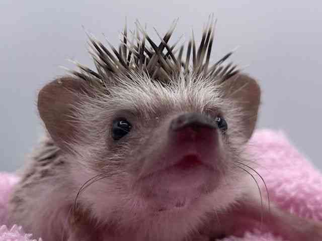 nlY~^sO~[wbWzbO