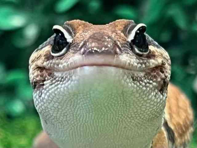 jVAtJgJQhL