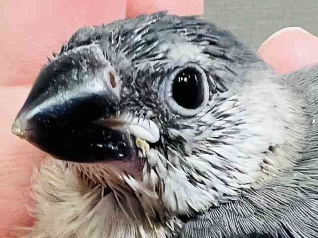 u`E