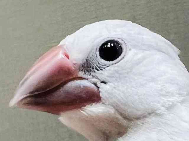 u`E