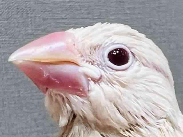 u`E