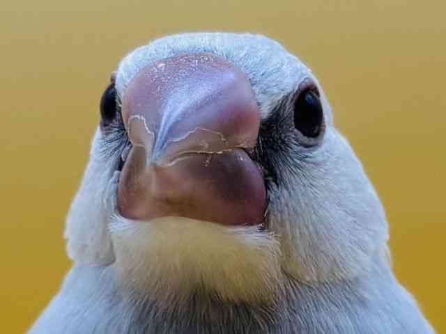 u`E