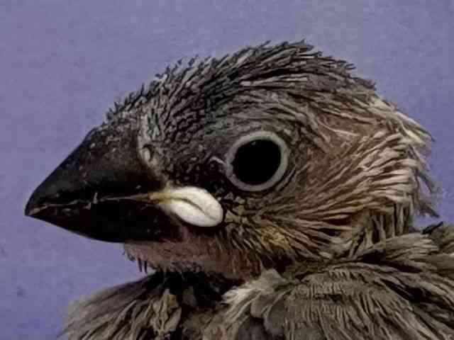u`E